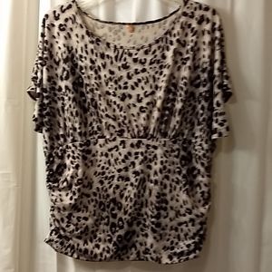 A Woman's Animal Print Top